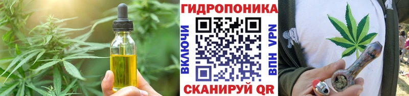 Cannafood марихуана  купить закладку  Елец 