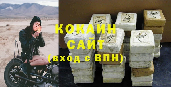 кокс Алексин
